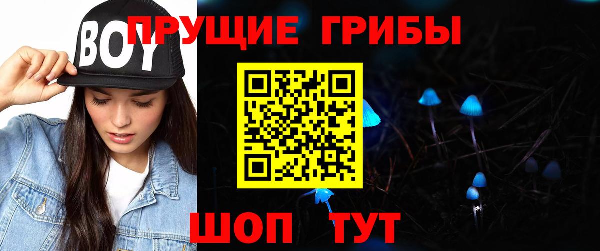 Железноводск  Псилоцибиновые грибы Magic Shrooms  Вход с VPN 